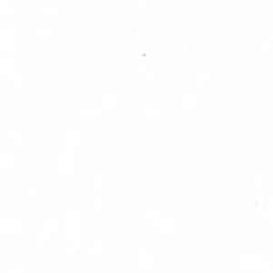 Meet your Posher, Ms_connie